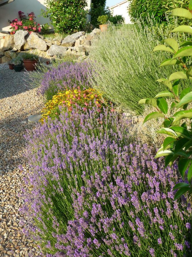 Montjoie-en-Couserans Splendide Vue Pyrenees, Rez De Jardin 2 Chambres מראה חיצוני תמונה
